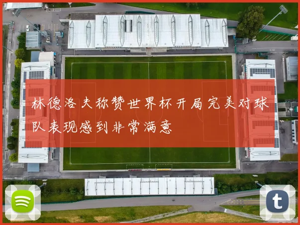 林德洛夫称赞世界杯开局完美对球队表现感到非常满意