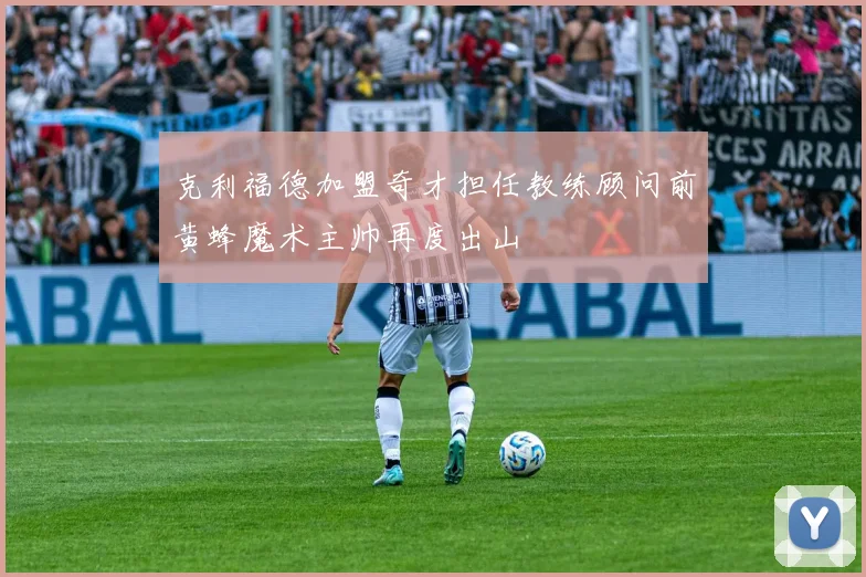 克利福德加盟奇才担任教练顾问前黄蜂魔术主帅再度出山