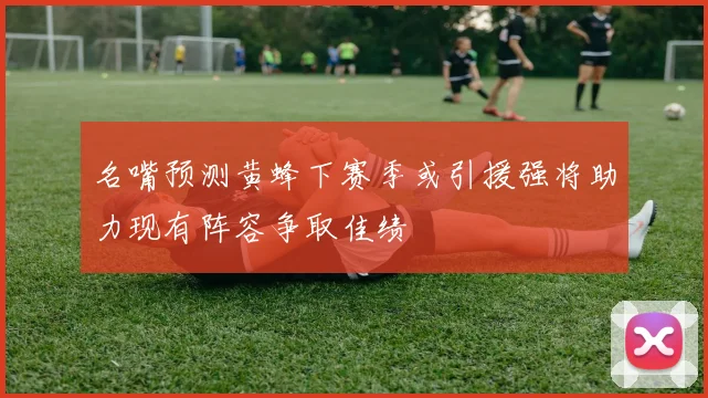 名嘴预测黄蜂下赛季或引援强将助力现有阵容争取佳绩